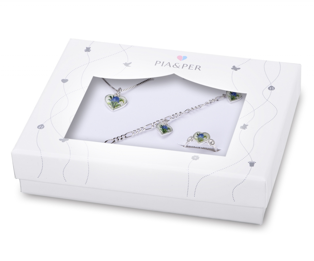 Rigid Boxes packaging